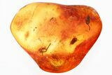 Three Detailed Fossil Flower Stamens In Baltic Amber #330718-1
